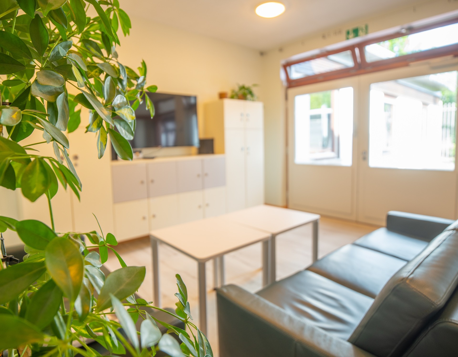 Das Bild zeigt ein Wohnzimmer mit einer schwarzen Couch und einem weißen Tisch. Im Vordergrund sieht man eine grüne Pflanze.