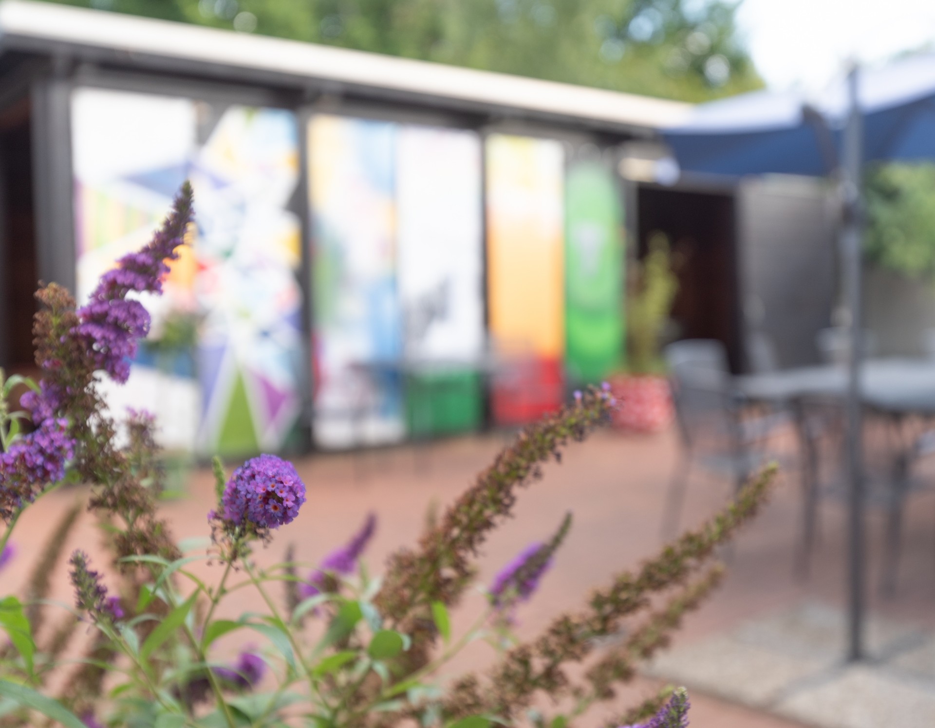 Das Bild zeigt Blumen im Vordergrund und im Hintergrund einen Hof mit einem bunt angemalten Schuppen.